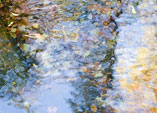 [Monet is Eternal] - impressionist, leaves, reflection, fall, autumn, foliage