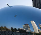 [Non-Euclidean Flight] - chicago, bean, millennium park, skyscrapers, seagull